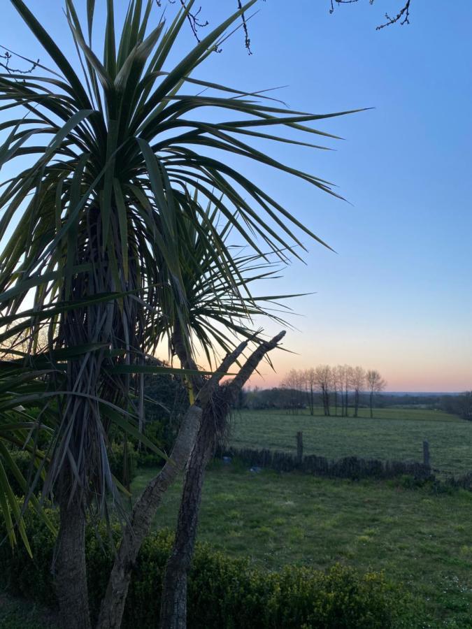 Maisonbel, Gite Convivial Bretagne Vannes Sarzeau 15 Personnes Surzur Eksteriør bilde